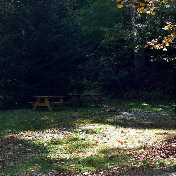 Turkey Creek Campground